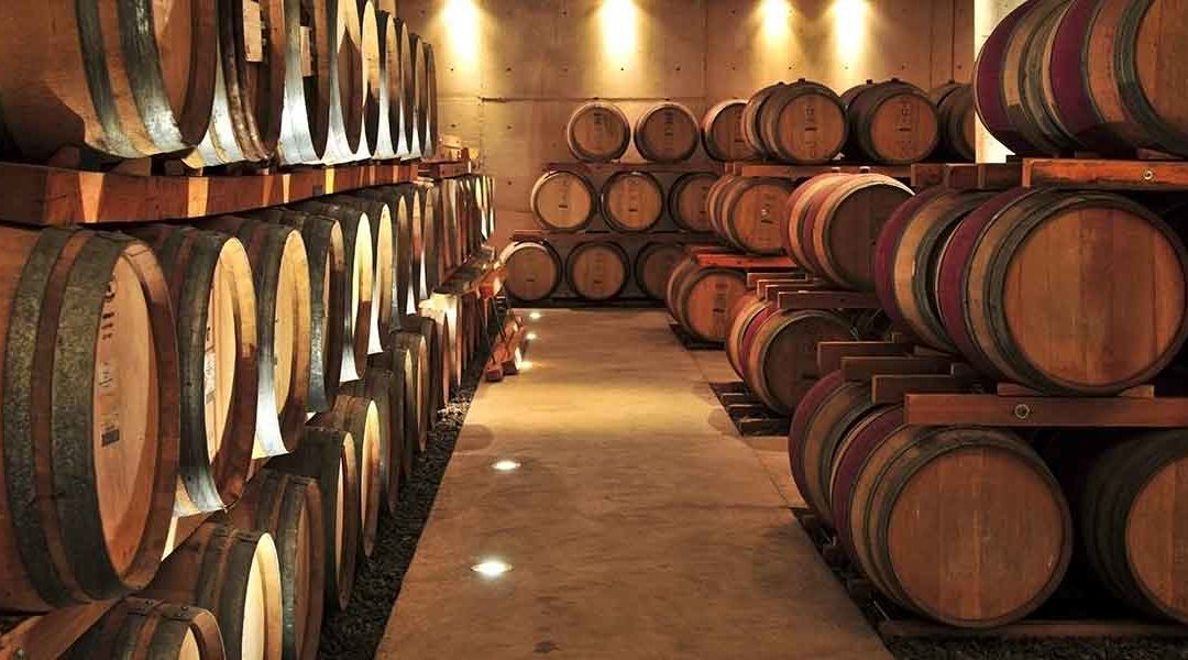 Wine cellar full of wine