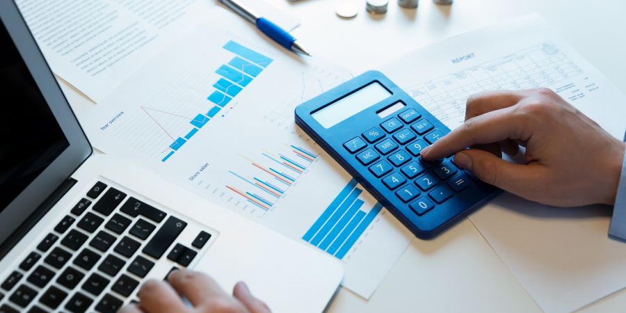Protea Financial Business Budget