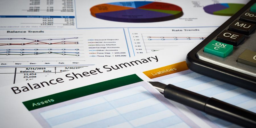 Protea Financial Balance Sheet