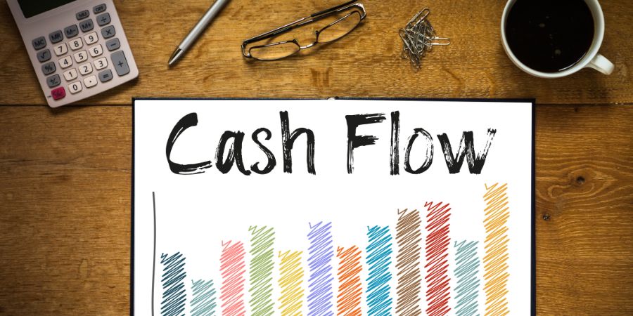 Protea Financial Cash Flow
