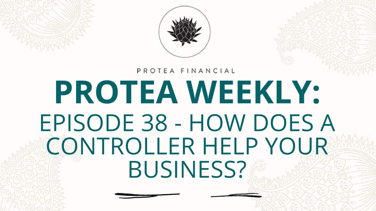 Protea Weekly – Episode 38 – How does a controller help your business?