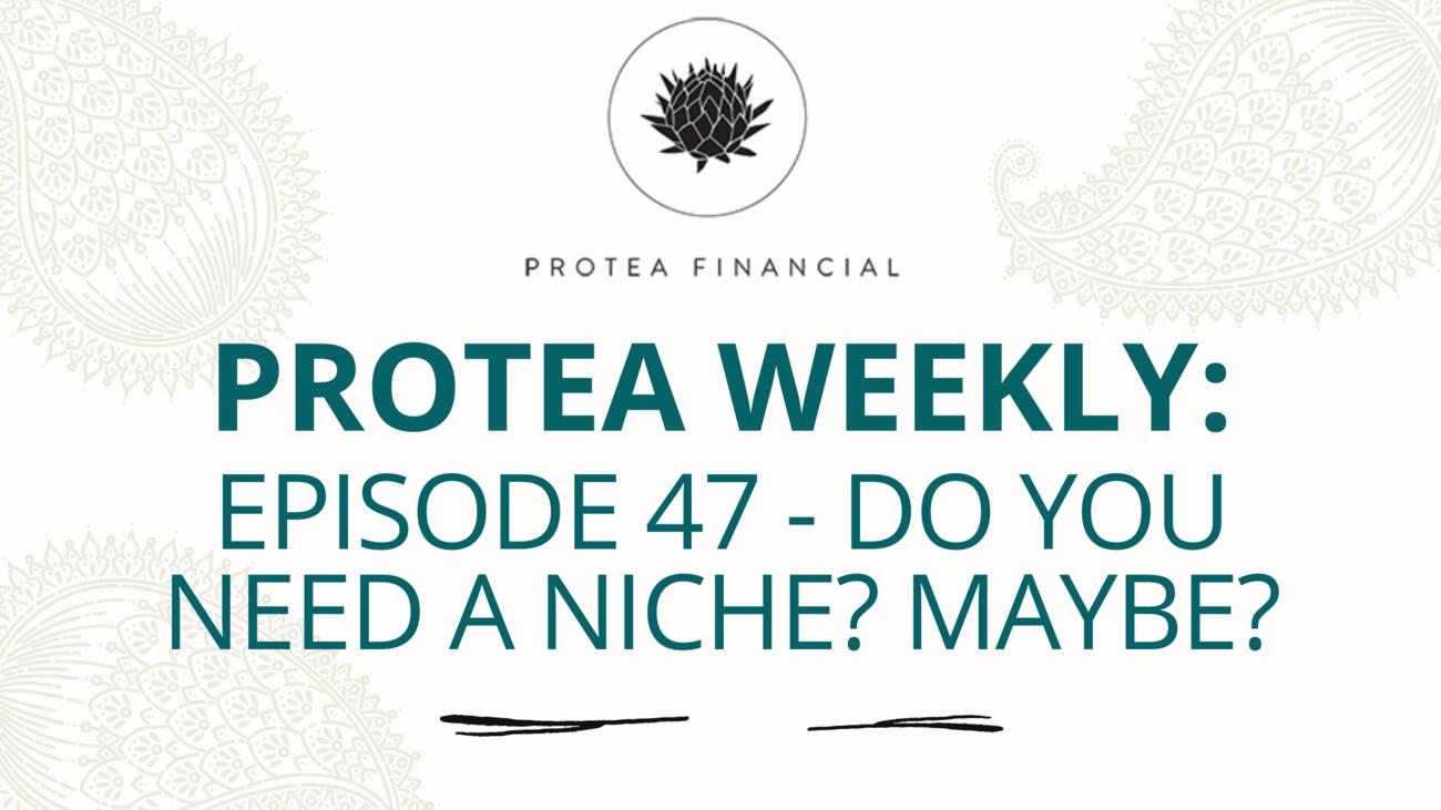 Protea Weekly – Episode 47 – Do you need a niche? Maybe?