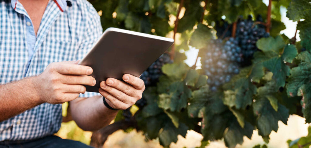 How Automation Can Improve Your Winery's Bottom Line