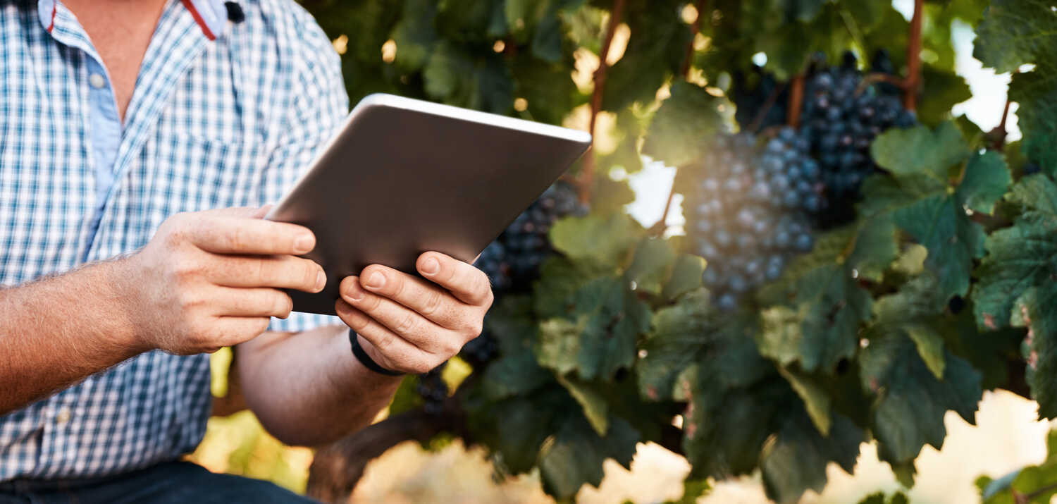Uncorking Efficiency: How Automation Can Improve Your Winery’s Bottom Line